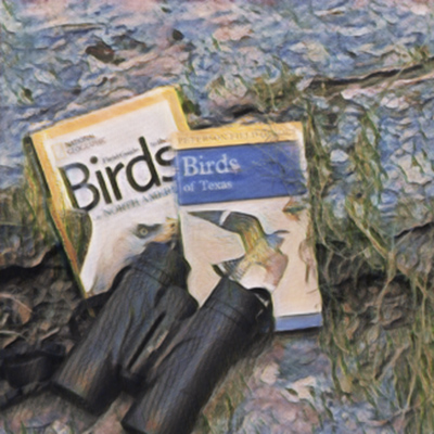 Visual representation (styled photo) of binoculars with two bird guide field books. 